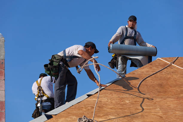 Best Gutter Installation and Roofing  in Prairie Du Chien, WI