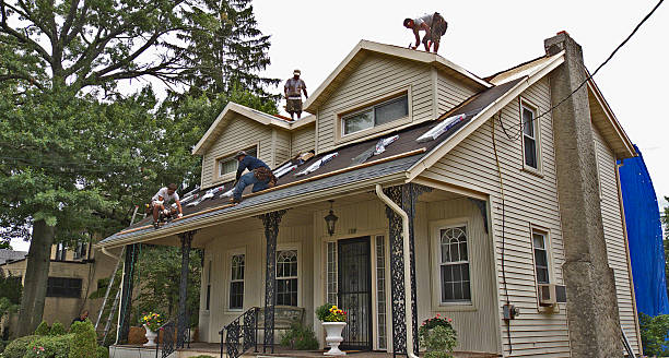 Best Flat Roof Repair Services  in Prairie Du Chien, WI