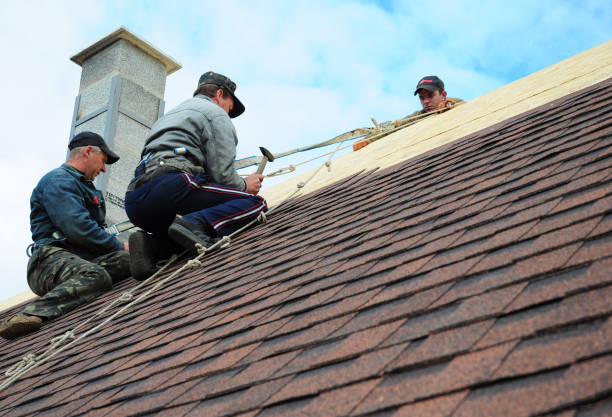 Quick and Trustworthy Emergency Roof Repair Services in Prairie Du Chien, WI